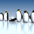 fan penguins photoshop contest